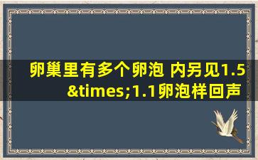 卵巢里有多个卵泡 内另见1.5×1.1卵泡样回声